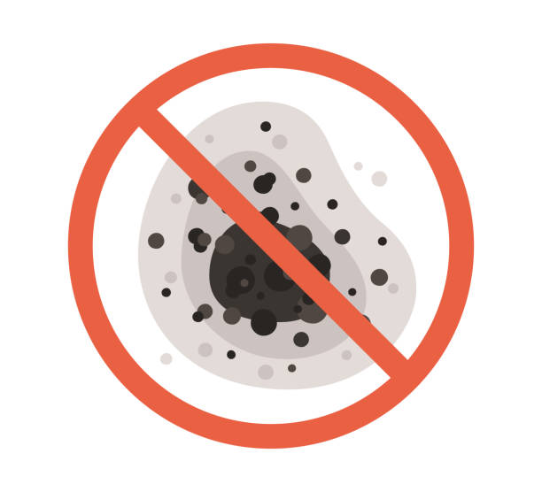Best Emergency Mold Remediation  in Wisr, NE