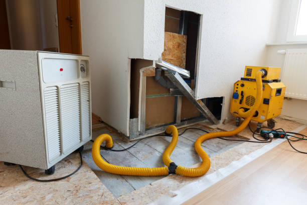 Biohazard Mold Removal in Wisner, NE