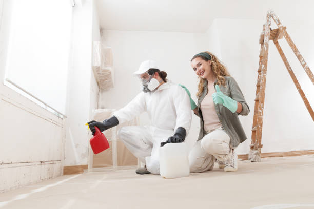 Best Real Estate Mold Inspection  in Wisr, NE