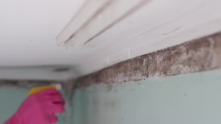 Mold Remediation for Rental Properties in Wisner, NE
