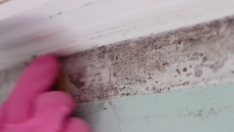 Best Asbestos and Lead Testing During Mold Inspection  in Wisr, NE